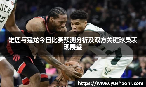 雄鹿与猛龙今日比赛预测分析及双方关键球员表现展望